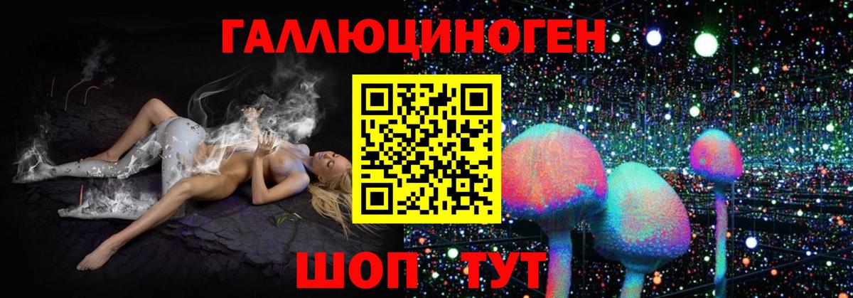 Галлюциногенные грибы Magic Shrooms  Псилоцибиновые грибы Psilocybine cubensis  Кашира  Вход с VPN 